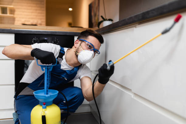 Best Flea Control Services  in Countryside, IL