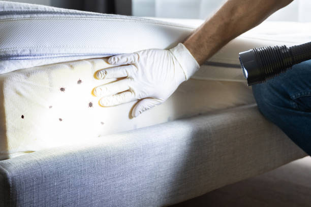 Best Residential Pest Control  in Countryside, IL