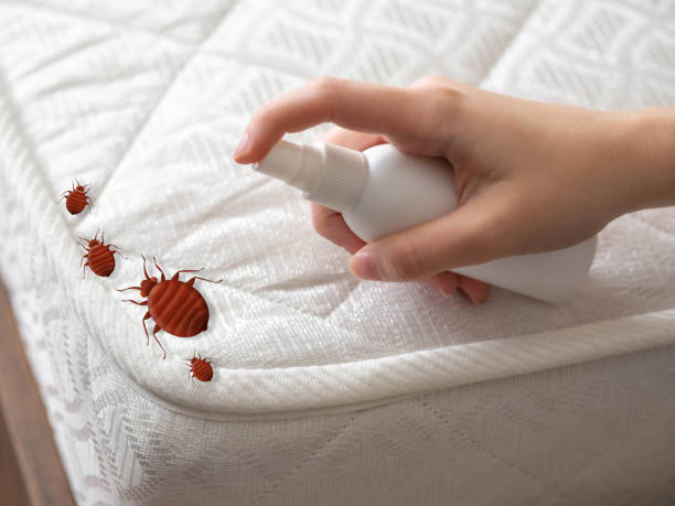 Best Best Pest Control Companies  in Countryside, IL
